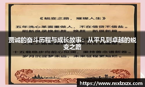 贾诚的奋斗历程与成长故事：从平凡到卓越的蜕变之路