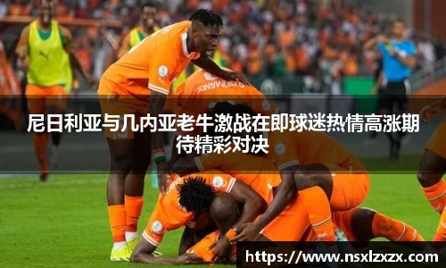 尼日利亚与几内亚老牛激战在即球迷热情高涨期待精彩对决